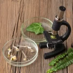 Alternatif Tıp ve Modern Tıp Arasındaki Farklar