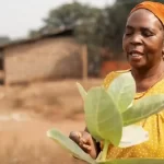 Afrika’da Sürdürülebilir Tarım Çözümleri