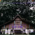 Sürdürülebilir Yaşam İçin Küçük Adımlar: Çevre Dostu Ev Uygulamaları