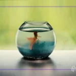 Akvaryum Suyu Neden Bulanır? Nedenleri ve Etkili Çözüm Yolları