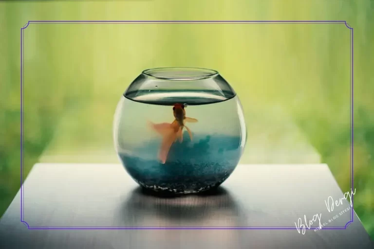 Akvaryum Suyu Neden Bulanır? Nedenleri ve Etkili Çözüm Yolları