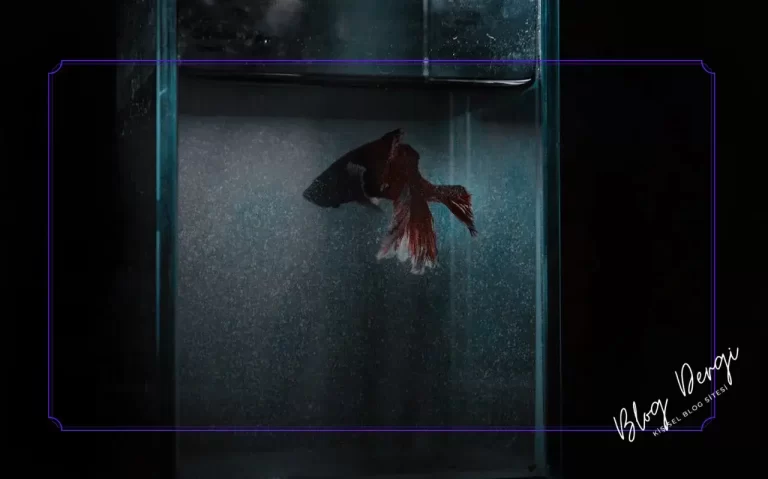 Akvaryum Balıkları İçin En Uygun Filtreleme Sistemleri: İç Filtre mi Dış Filtre mi?