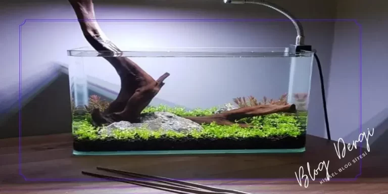 Akvaryum Aydınlatması Nasıl Seçilir? Lumen, Kelvin, Spektrum Açıklamaları