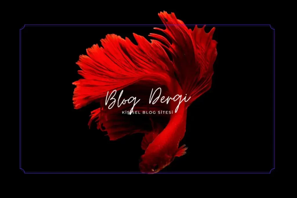 Beta Balığı Bakımı Nasıl Yapılır? Tek Başına Yaşayan Savaşçıların Dünyası