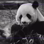 Nesli Tükenmekte Olan Hayvanlar: Dünyamızın Biyoçeşitliliğini Korumak İçin Neler Yapabiliriz?