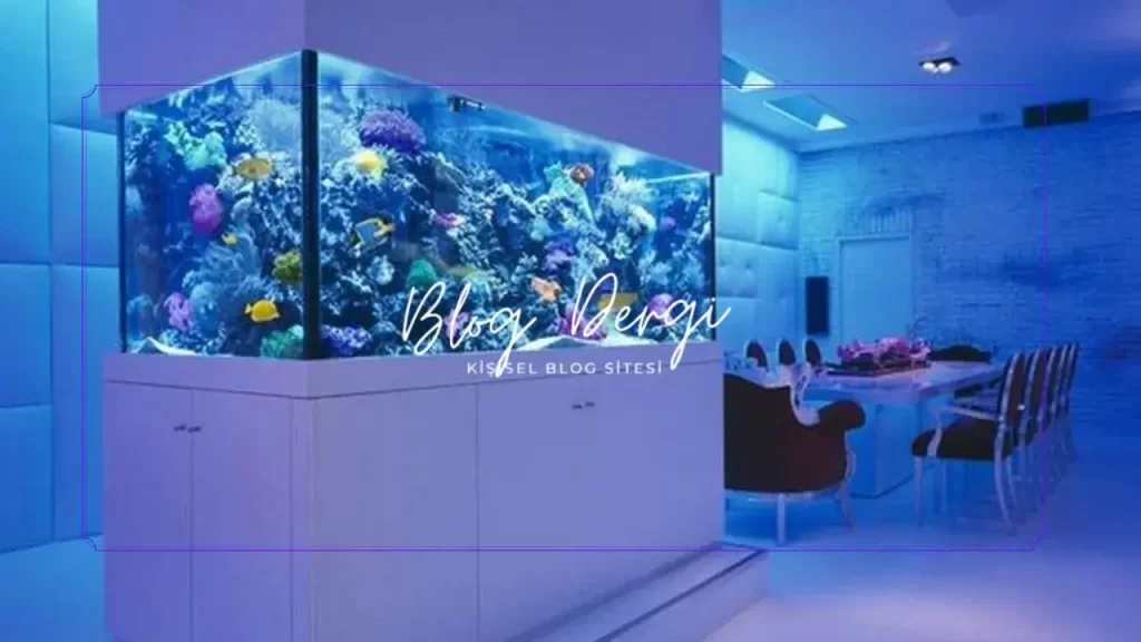 Tatlı Su Akvaryumu Kurarken En Sık Yapılan 10 Hata (Yeni Başlayanlar İçin Rehber)