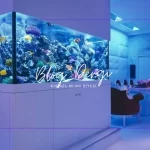 Tatlı Su Akvaryumu Kurarken En Sık Yapılan 10 Hata (Yeni Başlayanlar İçin Rehber)