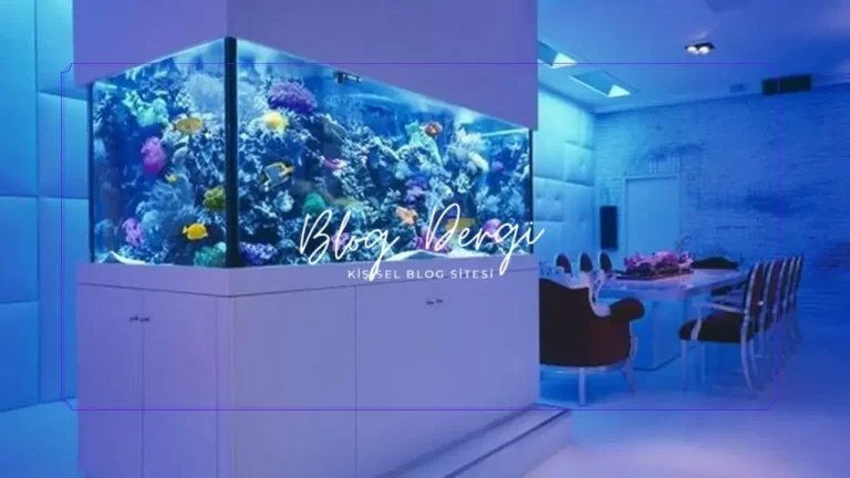 Tatlı Su Akvaryumu Kurarken En Sık Yapılan 10 Hata (Yeni Başlayanlar İçin Rehber)