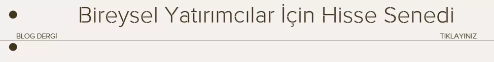 Bireysel Yatırımcılar İçin Hisse Senedi