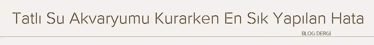 Tatlı Su Akvaryumu Kurarken En Sık Yapılan 10 Hata