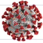 Kış Aylarında Bağışıklık Sistemini Güçlendiren 10 Alışkanlık