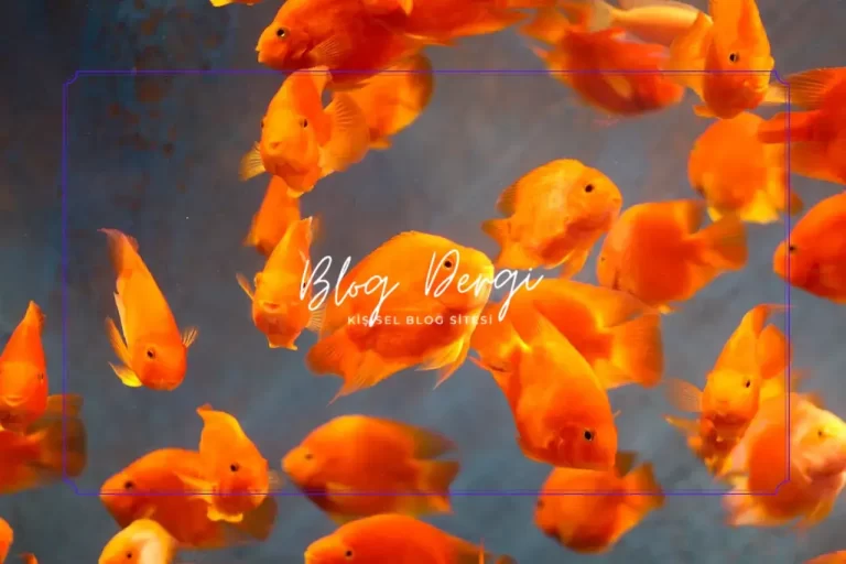Balıklar Arası Uyum: Hangi Türler Aynı Akvaryumda Barış İçinde Yaşar?